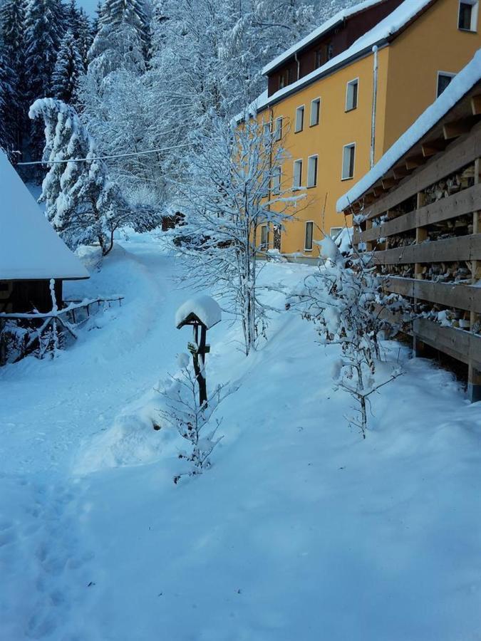 Ferienwohnung Haus Sonnenblick Luftkurort Lückendorf Exterior foto